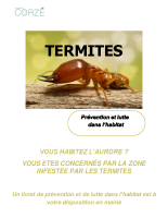 prévention termites